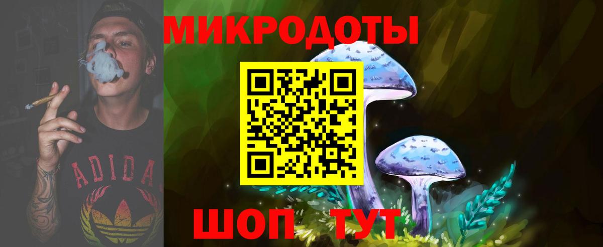 Галлюциногенные грибы прущие грибы  Вход с VPN  Кирово-Чепецк  Галлюциногенные грибы Psilocybine cubensis 